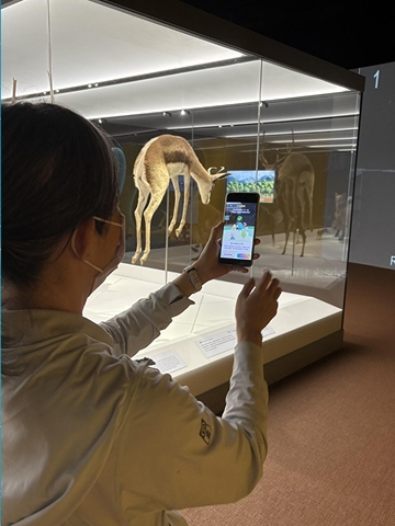 奇幻自然 ( 國小 ) AR 互動體驗